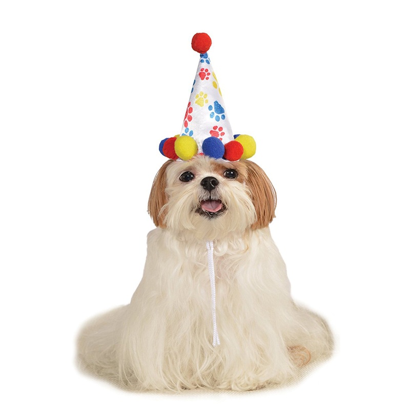 Boy’s Birthday Hat Pet Costume Small/Medium