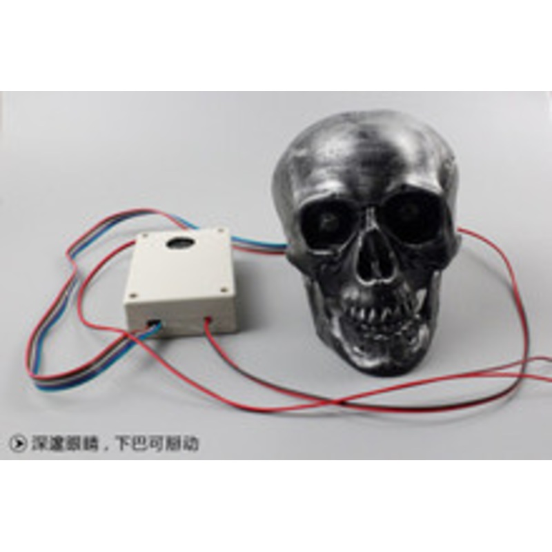 Skull – Light Sensor