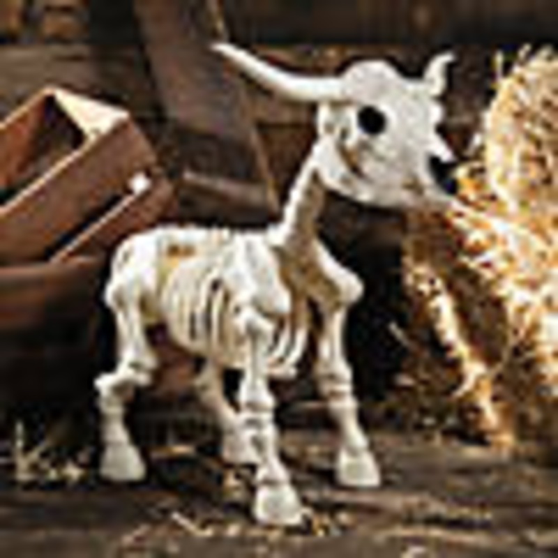 21 1/4 Standing Steer Skeleton Halloween Decoration