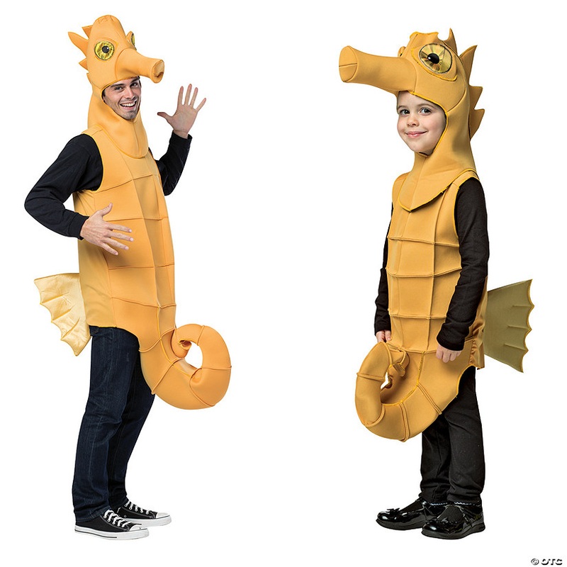 Kids Seahorse Costume|CHLDMD