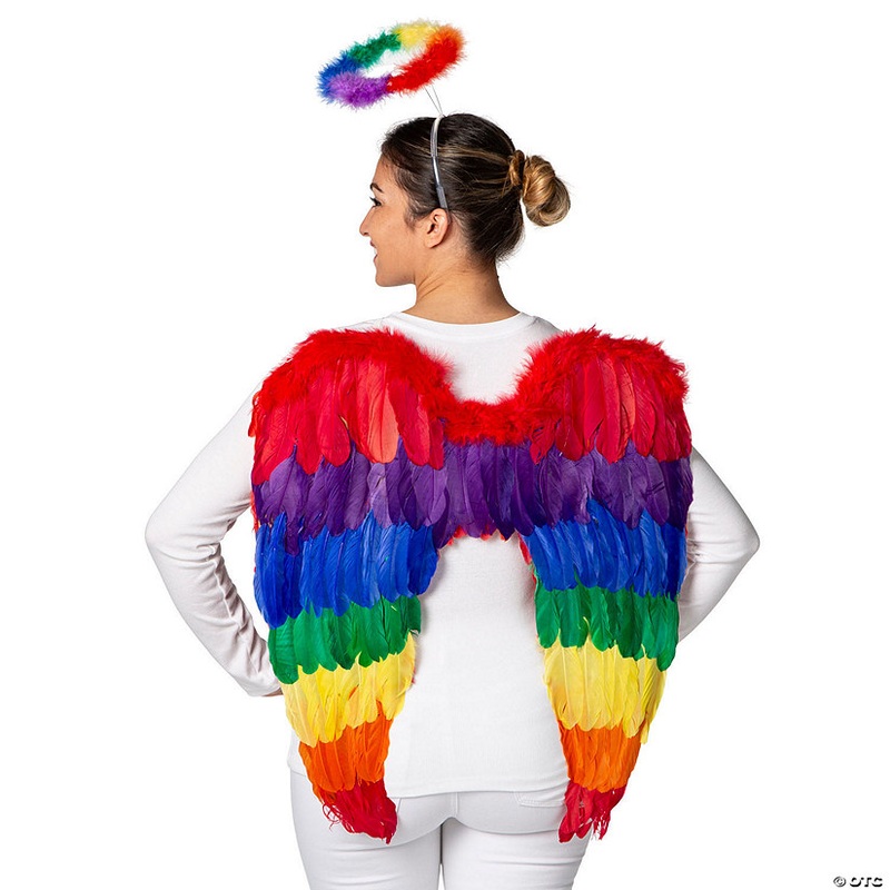 27 x 23 Rainbow Wings with Halo Costume Accessory