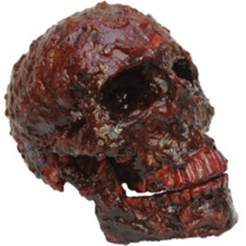 BLOOD SCAB RESIN SKULL PROP