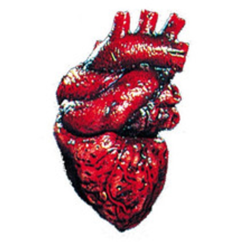 Heart Latex Halloween Prop