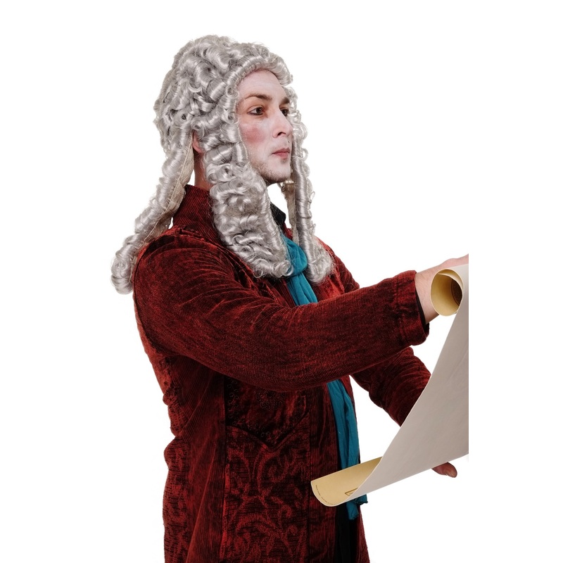 Party Wig Men Lord baroque Aristocrat Judge King Noble grey gray WIG002-K309