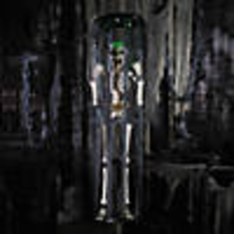 40 Animated Light-Up Skeleton in a Shaking Cage Halloween Decoration