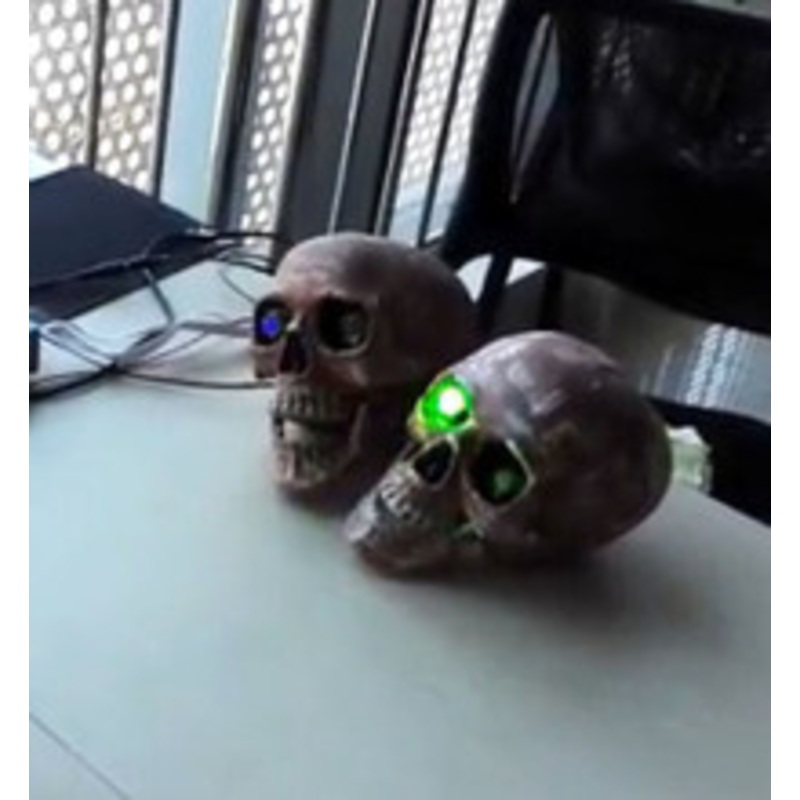 Skull – Light Sensor (Full Set)