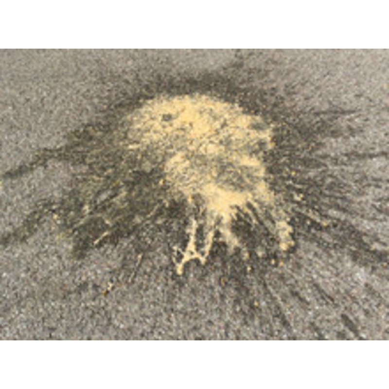 Vomit Scent Spritzer