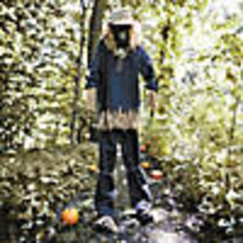 7 Ft. 6 Light-Up Lifting Skeleton Scarecrow Halloween Decoration