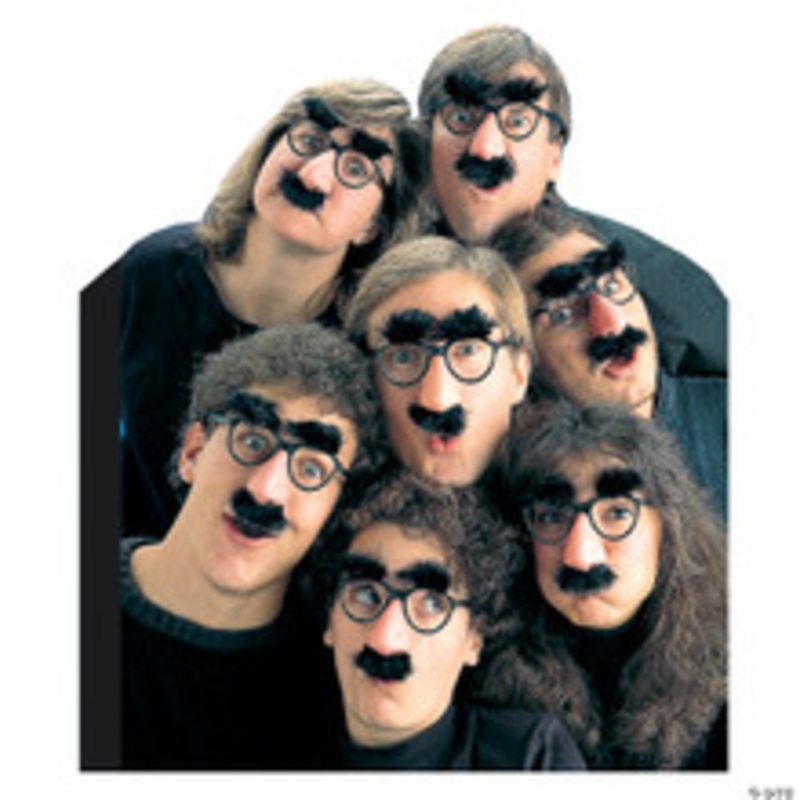 High Brow Disguise Glasses – 1 Pc.
