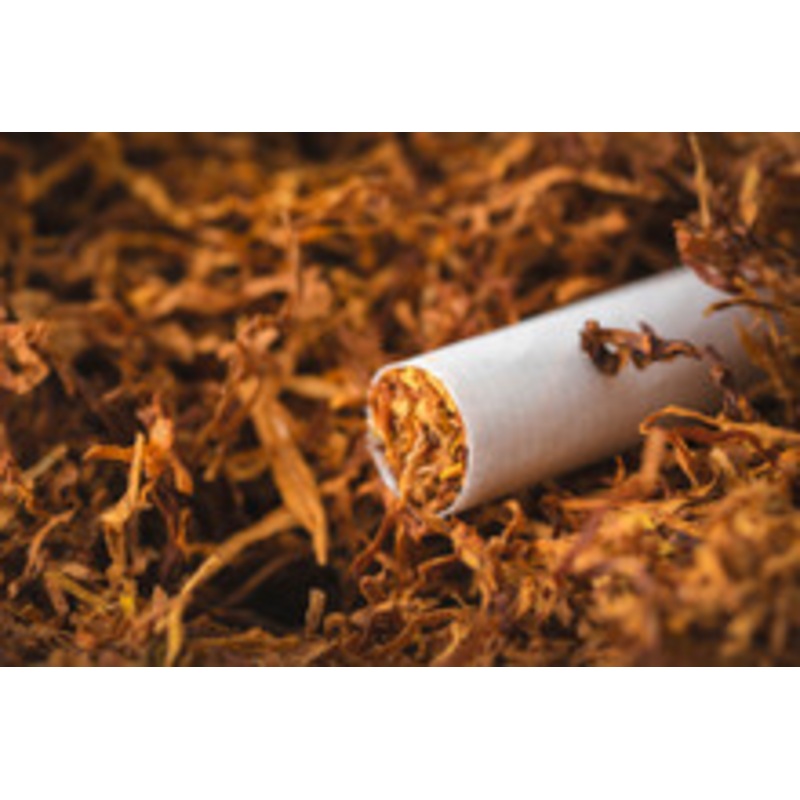Tobacco Fog Scent