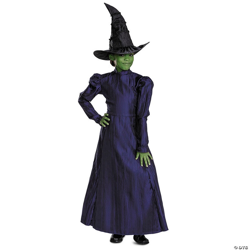 Toddler Deluxe Wicked Elphaba Purple Dress Costume – 3T-4T