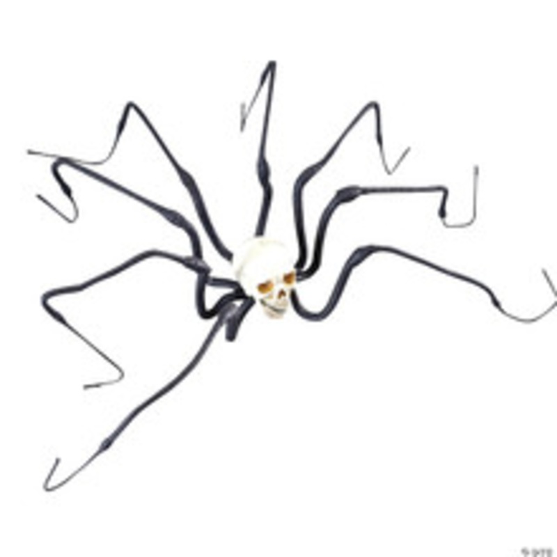 47 Large Skull Spider