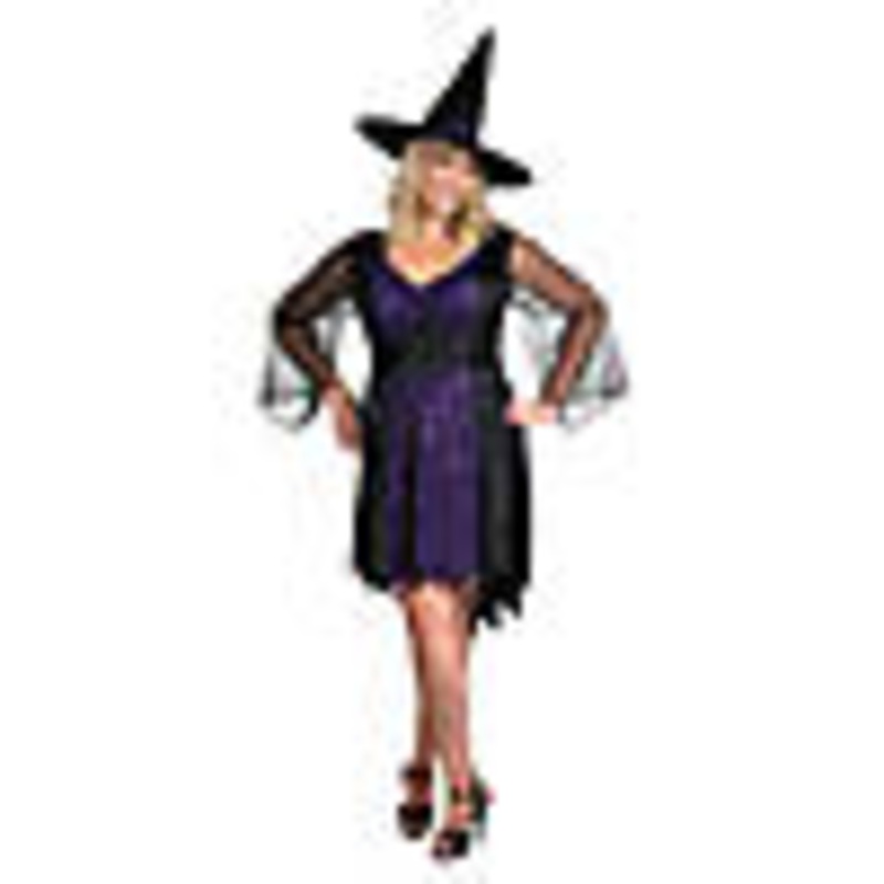 Womens Plus Size Brilliantly Bewitched Costume