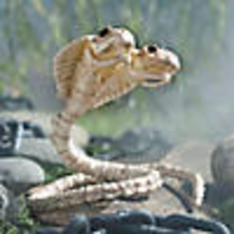 5 1/2 Two-Headed Cobra Snake Skeleton Halloween Decoration