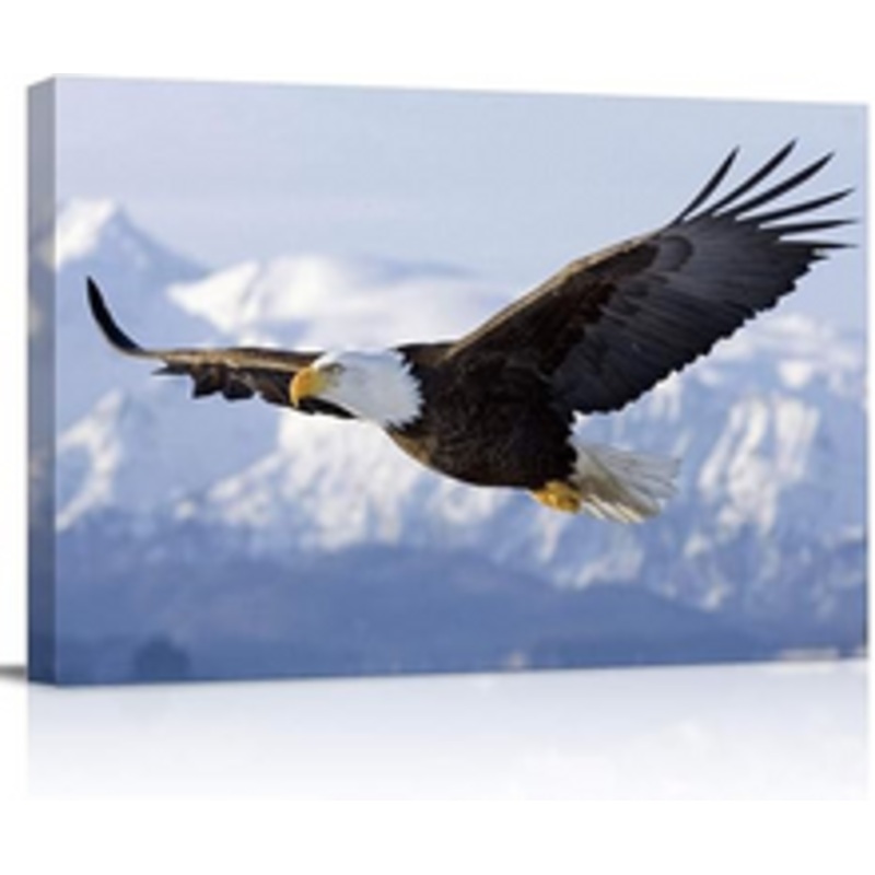 Eagle Eye Bright Escape Room Prop
