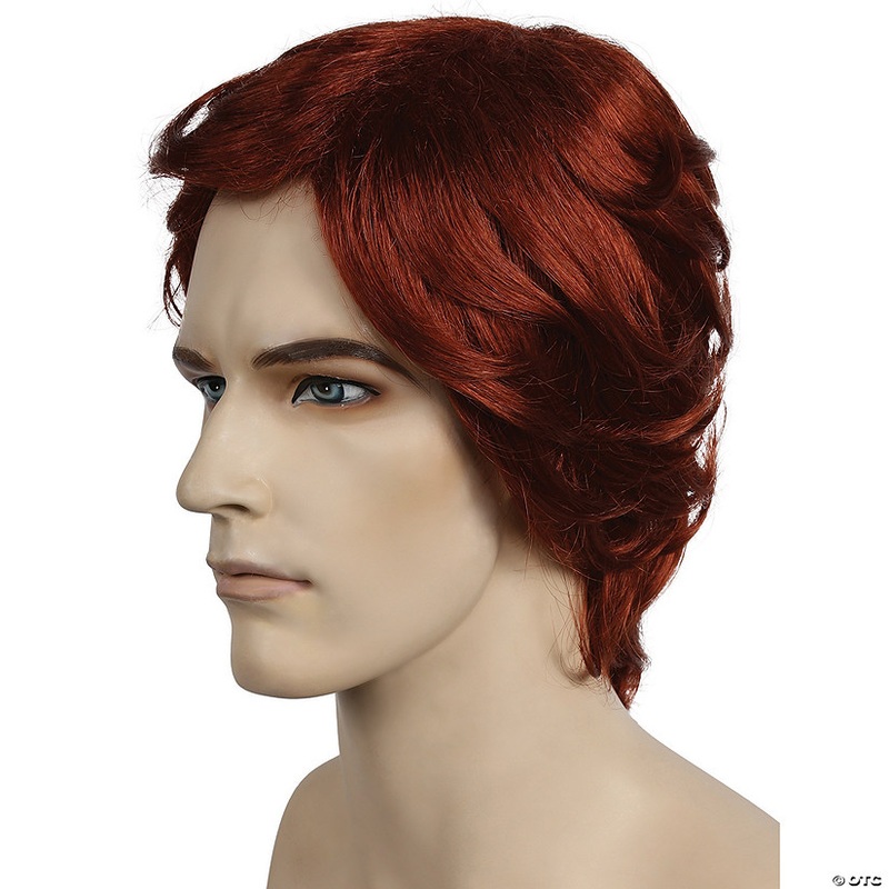 Men’s Long Shag Wig