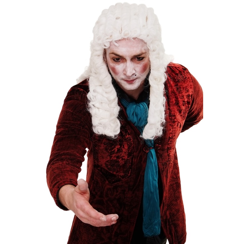 Party Wig Men Lord baroque Aristocrat Judge King Noble grey gray WIG002-P60