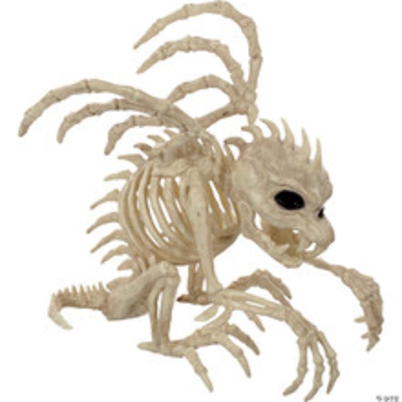 10 Skeleton Gargoyle Prop