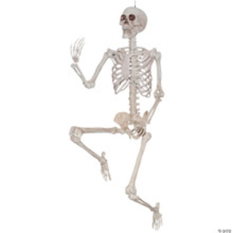 79 Skeleton Titan Halloween Decoration
