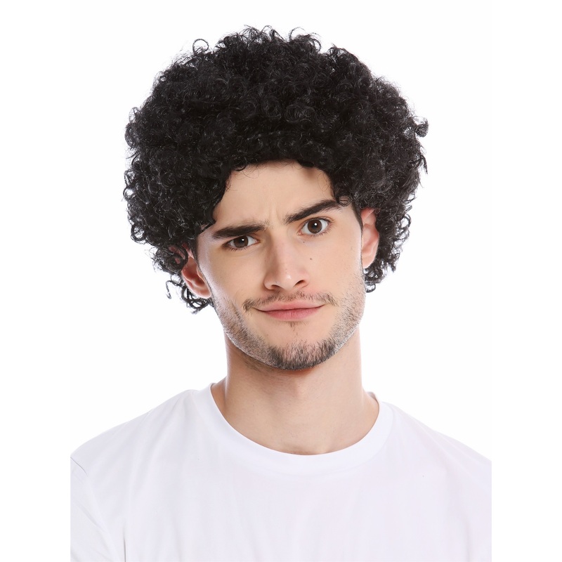 Wig Men Women Fool Foolish looking frizzy curls curled short afro black PW0186