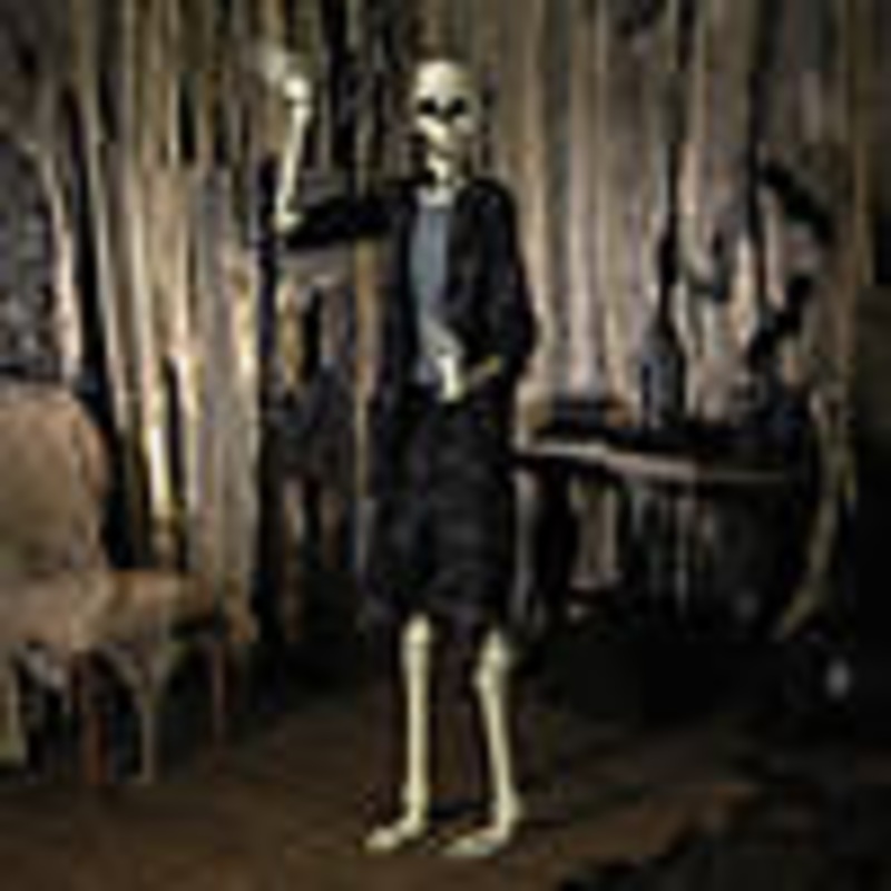 6 Ft. 2 Standing Franky Skeleton Halloween Decoration