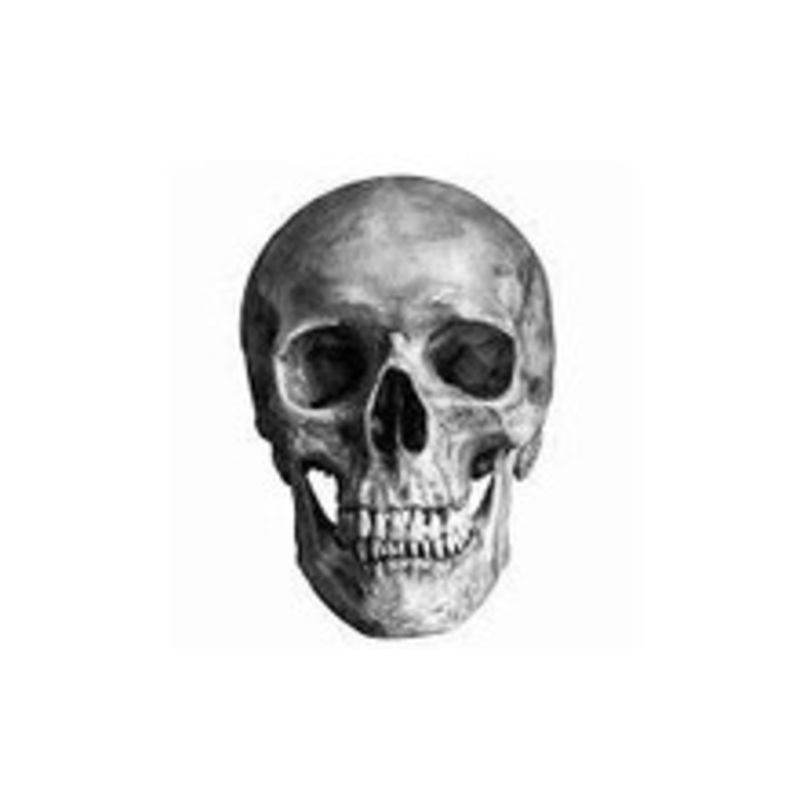 Skull-Blaster 2000 Escape Room Prop (w/ Audio)