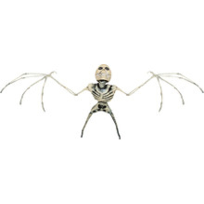 BAT SKELETON