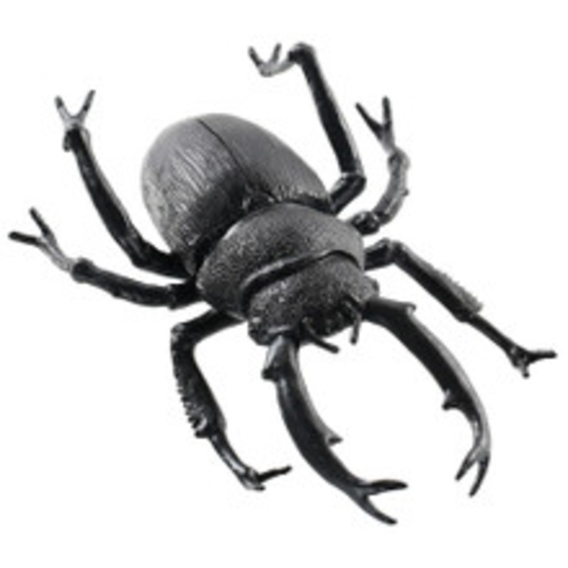 BLACK BEETLE 8 INCHES