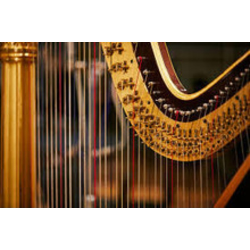 Harp on This! Escape Room Prop (w/ Audio)