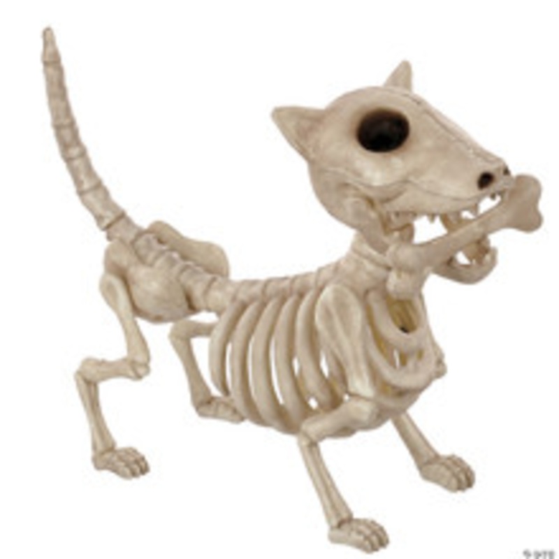 11 Digger The Skeleton Dog Decoration