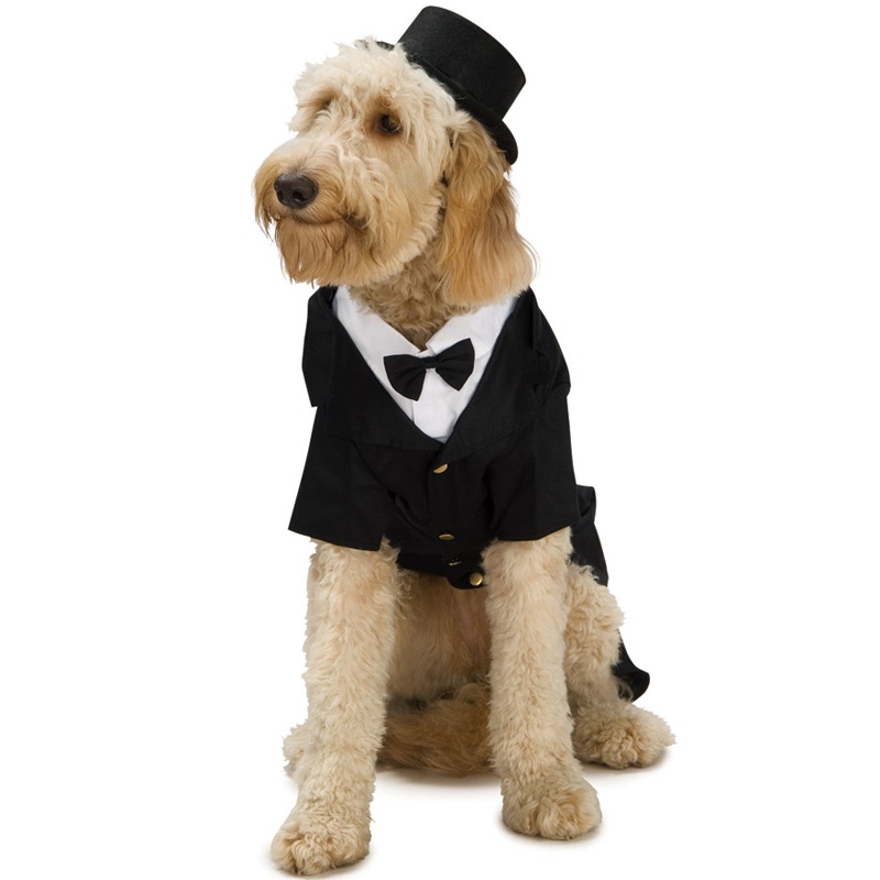 Dapper Dog Pet Costume Small|Small|Medium|Large|X-Large