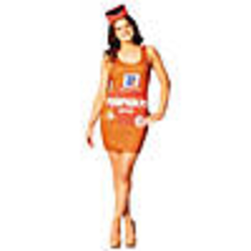 Womens McCormick Pumpkin Pie Spice Dress Costume