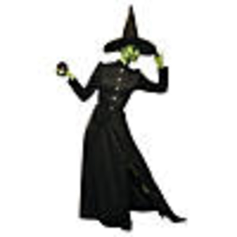 Womens Plus Size Deluxe Classic Witch Costume