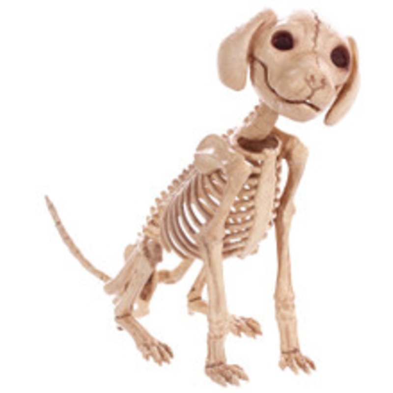 PUPPY SITTING SKELEBONES