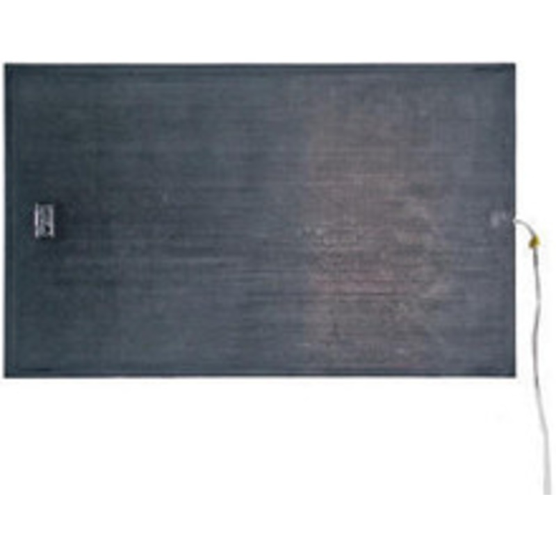 Step Mat Trigger