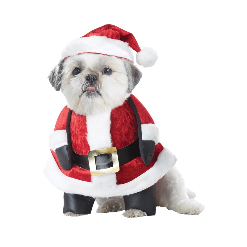 Santa Pup Pet Costume X-Small|X-Small|Small|Medium|Large