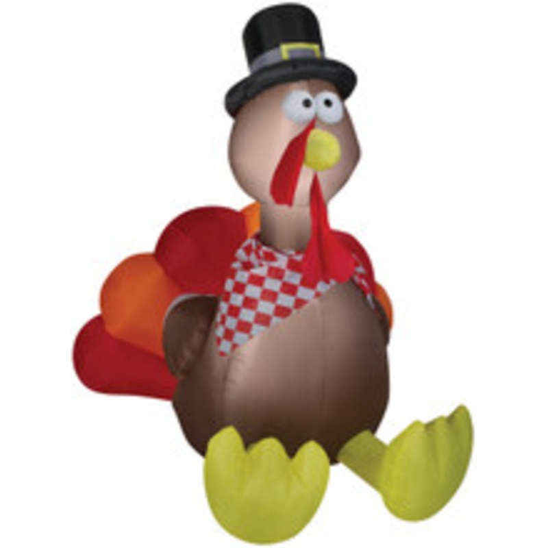 AIRBLOWN TURKEY
