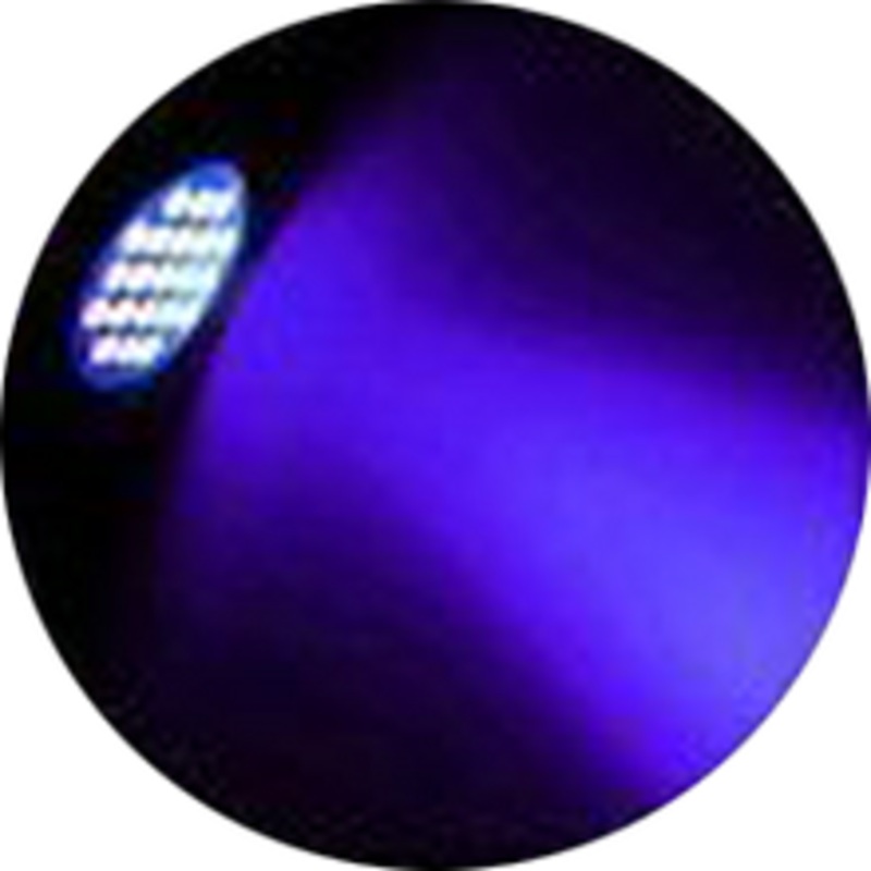 UV Flashlight