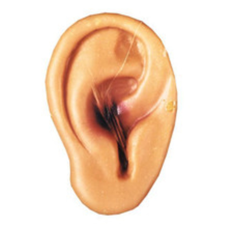 Cut Off Latex Ear Halloween Prop
