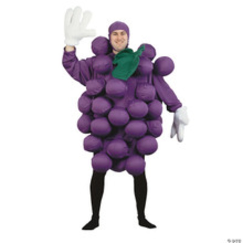 Men’s Purple Grapes Costume – Standard