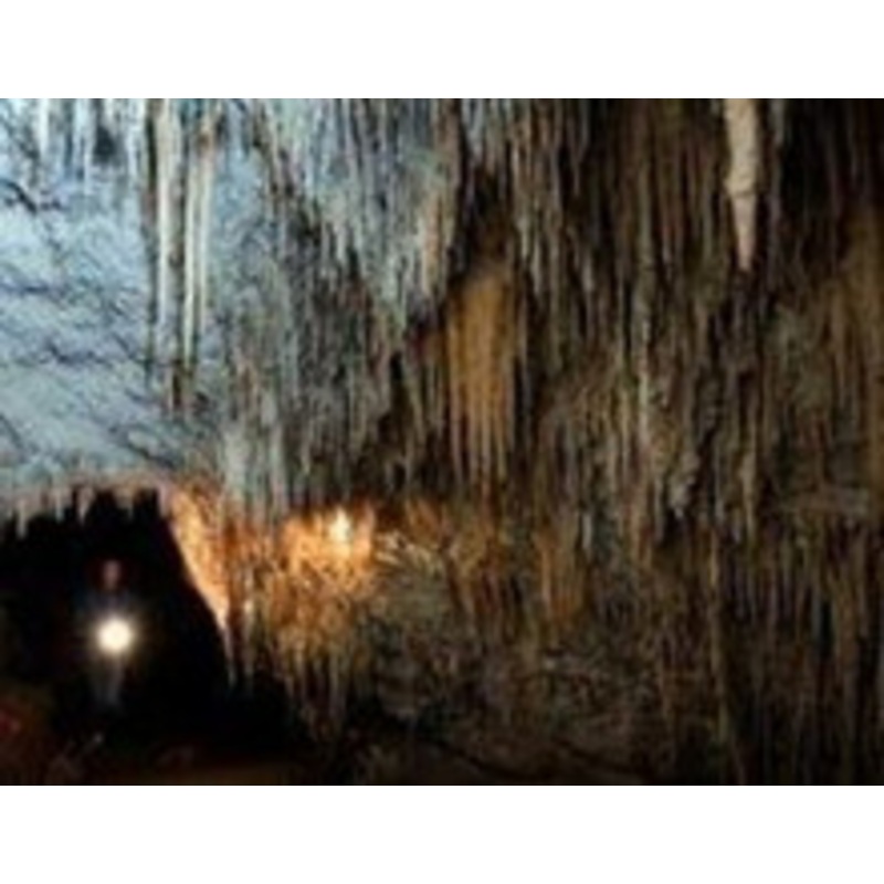 Wet Cave – MP3 Download