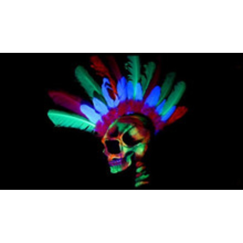 12-Volt UV Blacklight