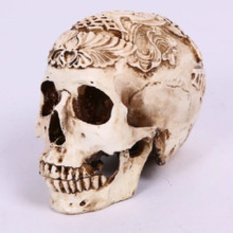 Decorative White Resin Model Skull – Escape Room Prop