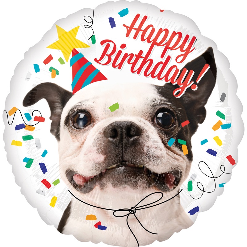 Foil balloon happy birthday dog around 43cm
