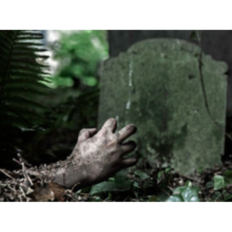 Decay Fog Scent