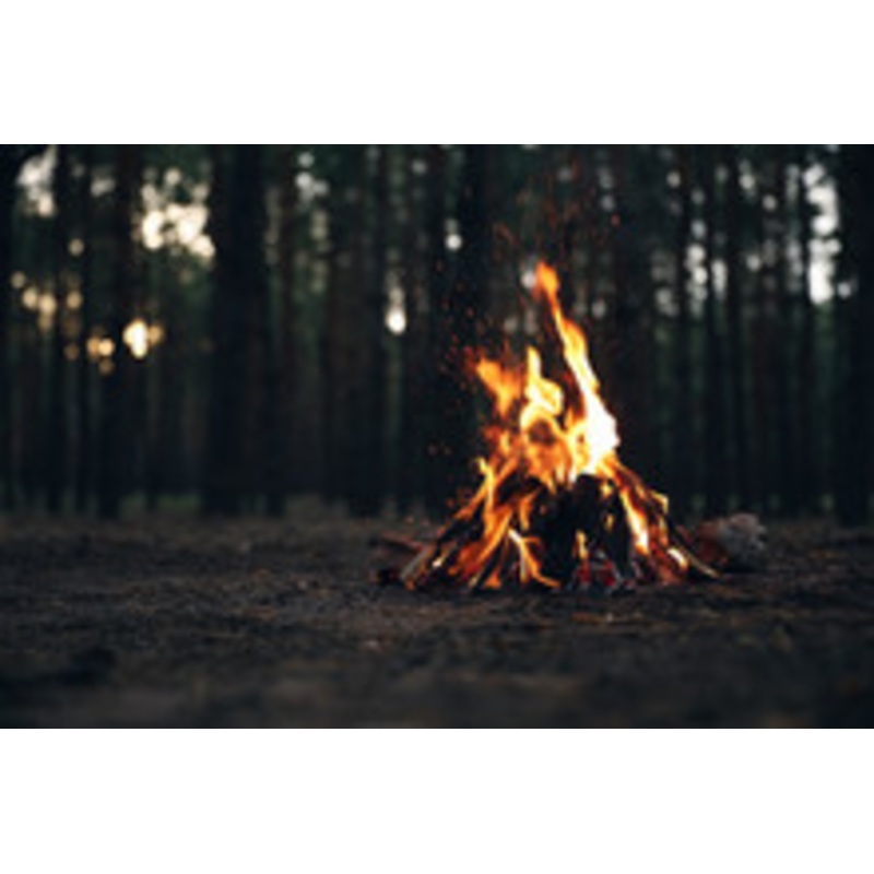 Campfire Fog Scent