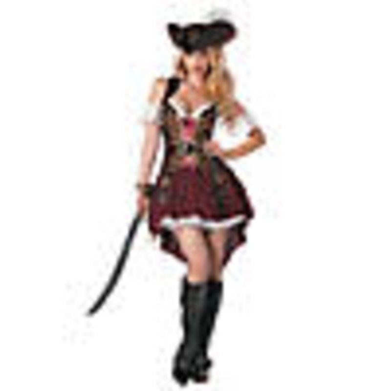 Womens Swashbuckler Pirate Costume