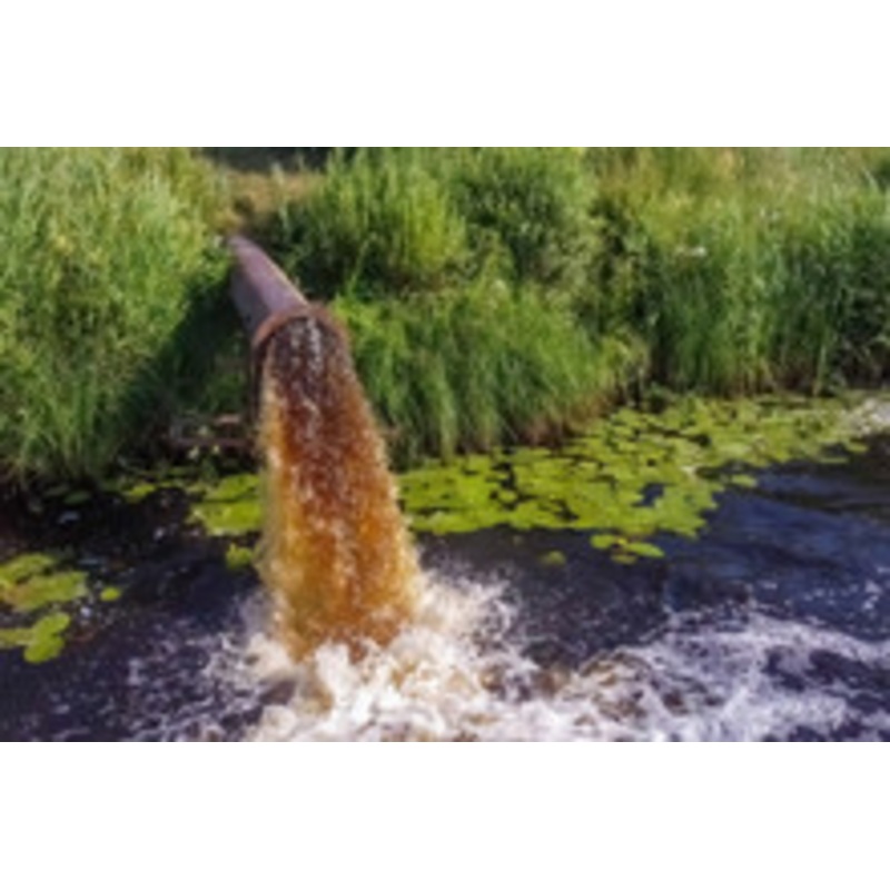 Sewage Fog Scent